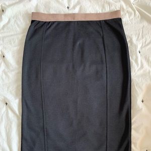 Sweet Rain • Pencil Skirt